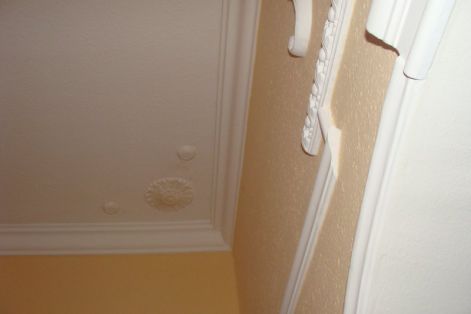 disz_dsc01254.jpg